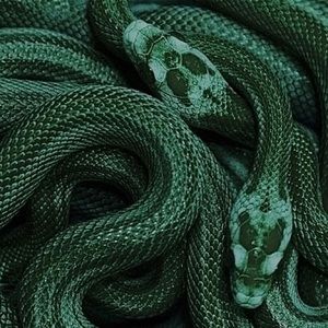 Meet your Posher, Eliza